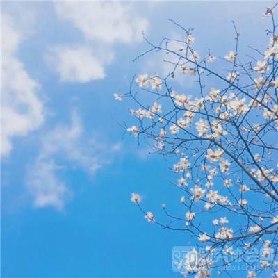 上古诸神手游下载