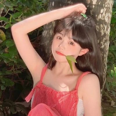 暗黑gm版破解版下载